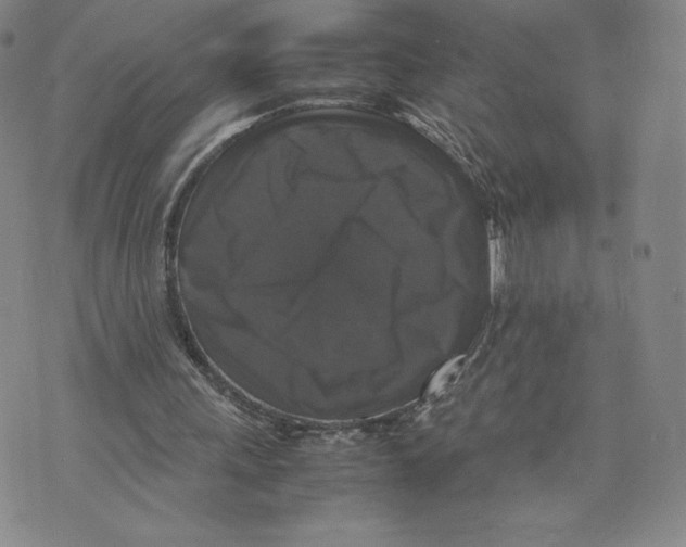 X0000070250243200606301633