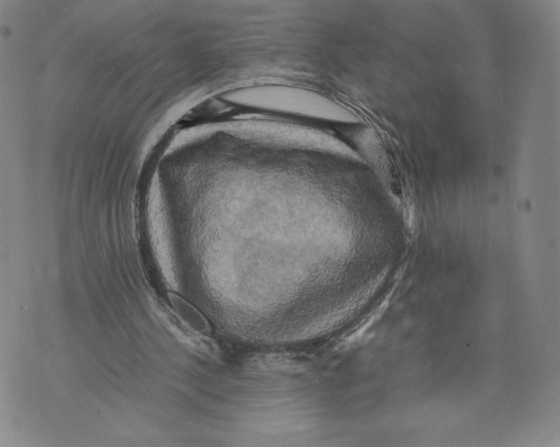 X0000070250244200606301633