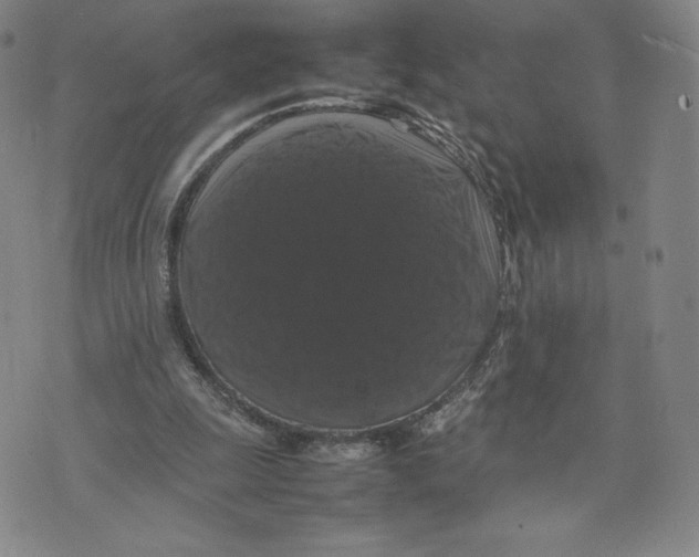 X0000070250247200606301633