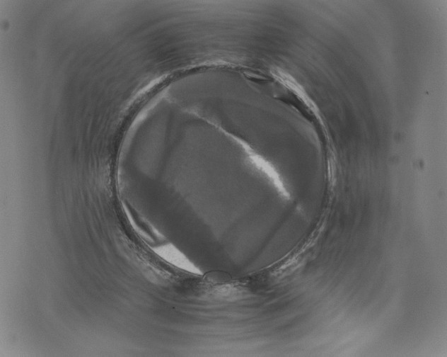 X0000070250249200606301633