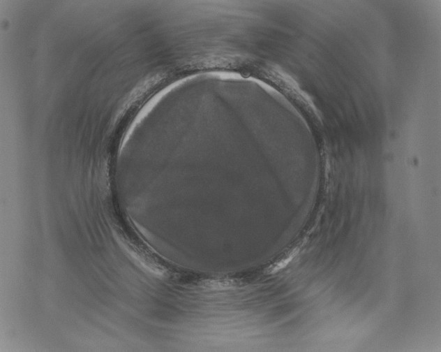 X0000070250250200606301633