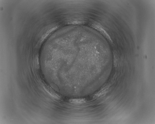 X0000070250251200606301633