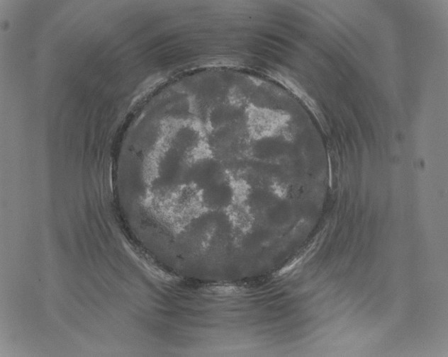 X0000070250253200606301633