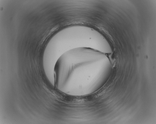 X0000070250260200606301633