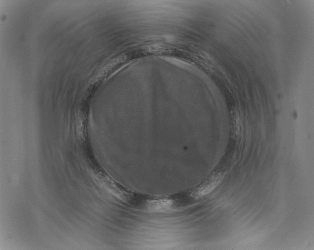 X0000070250266200606301633