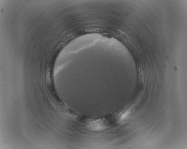 X0000070250267200606301633