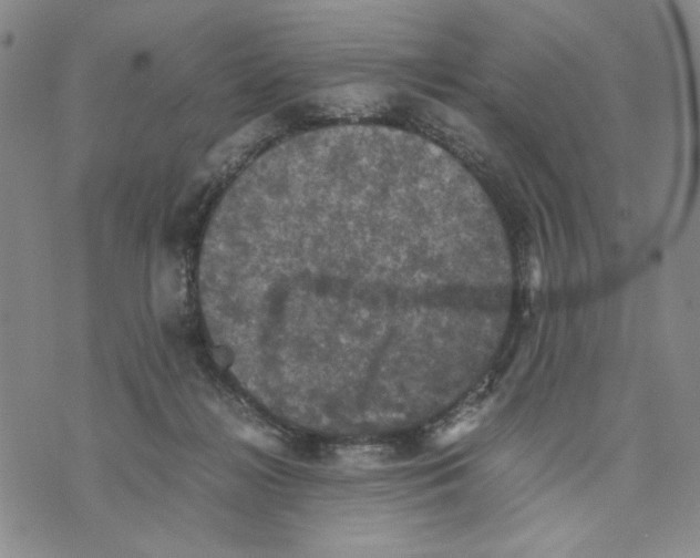 X0000070250268200606301633