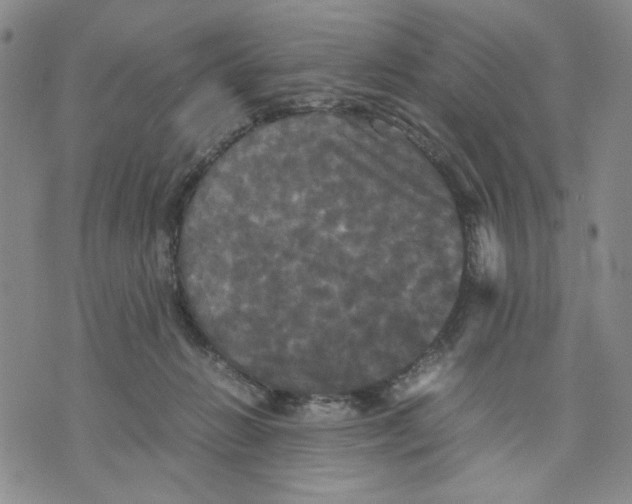 X0000070250270200606301633