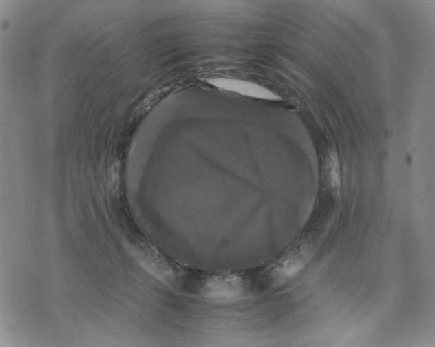 X0000070250271200606301633