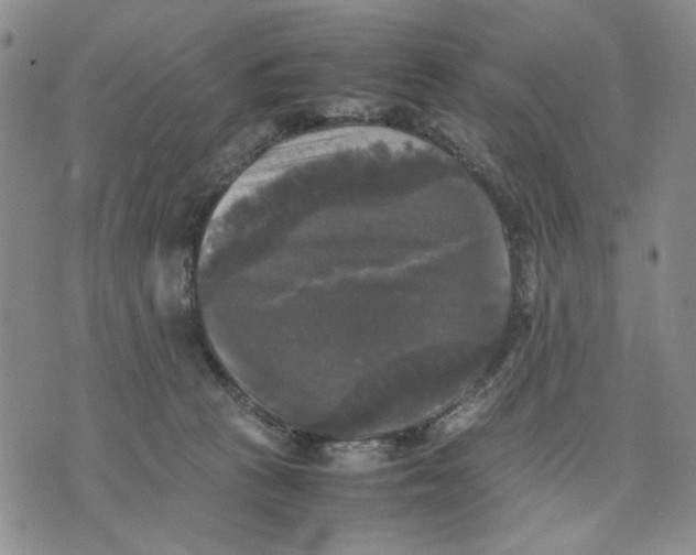 X0000070250273200606301633