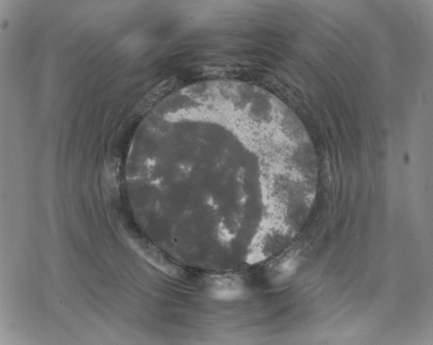 X0000070250275200606301633