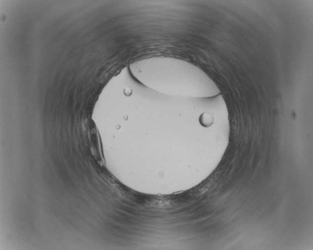 X0000070250276200606301633