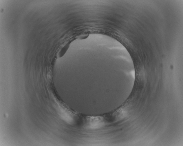 X0000070250277200606301633