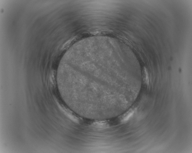 X0000070250280200606301633