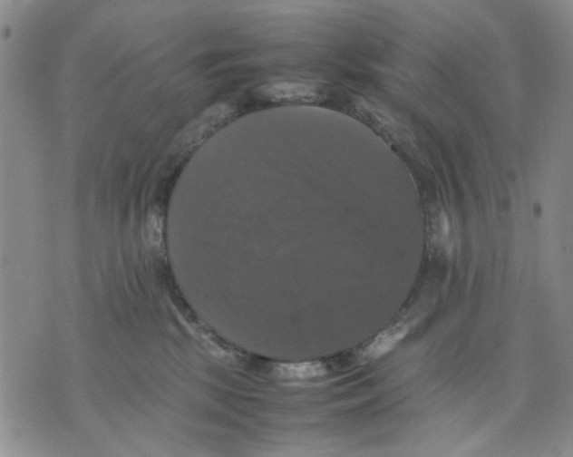 X0000070250281200606301633