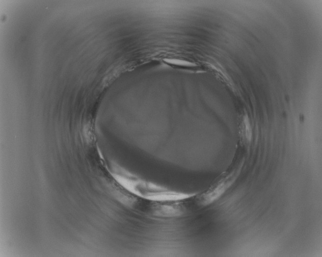 X0000070250285200606301633