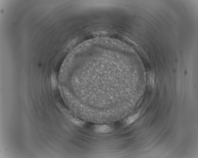 X0000070250287200606301633