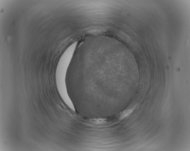 X0000070250288200606301633