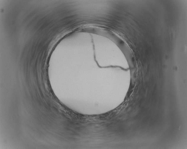 X0000070250289200606301633