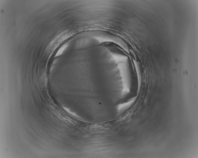 X0000070250290200606301633