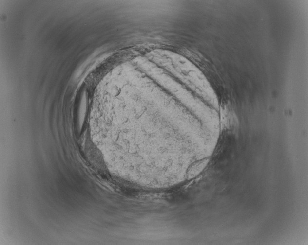 X0000070250291200606301633