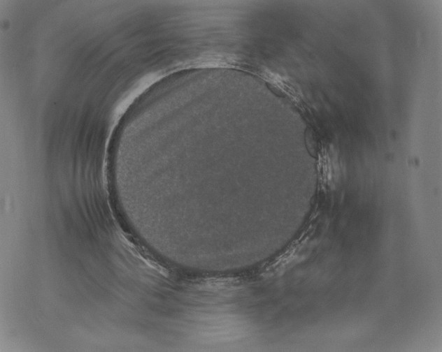 X0000070250292200606301633