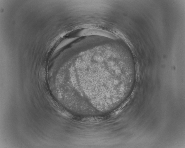 X0000070250297200606301632