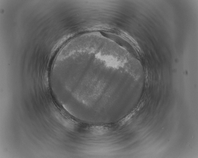 X0000070250298200606301632