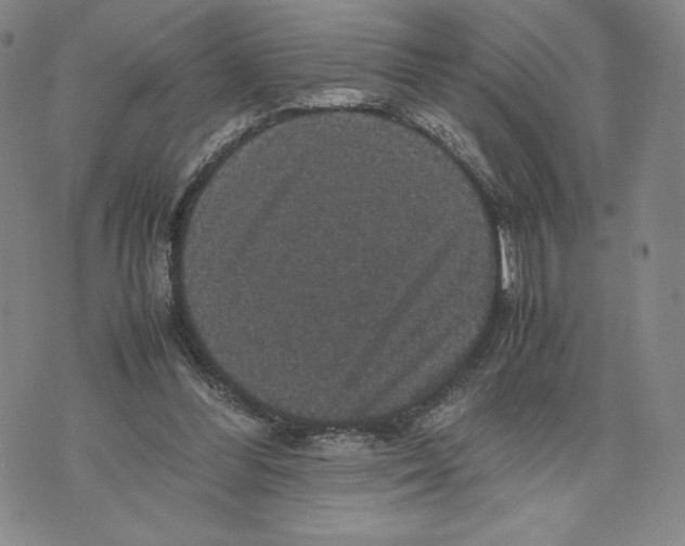 X0000070250300200606301632