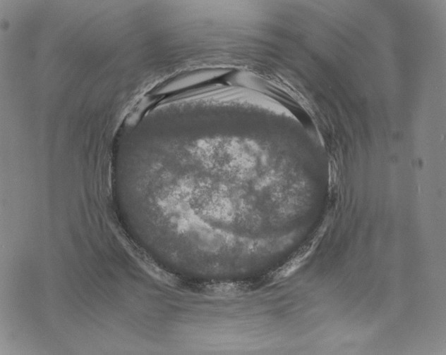 X0000070250301200606301632