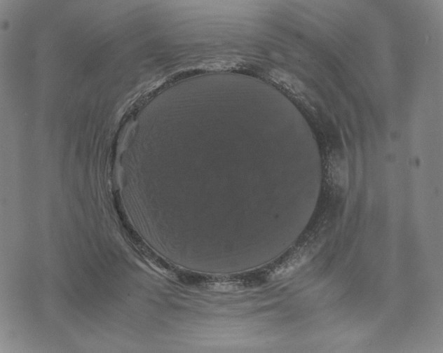 X0000070250303200606301632