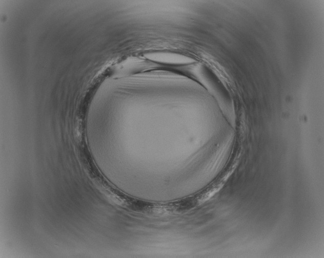 X0000070250305200606301632