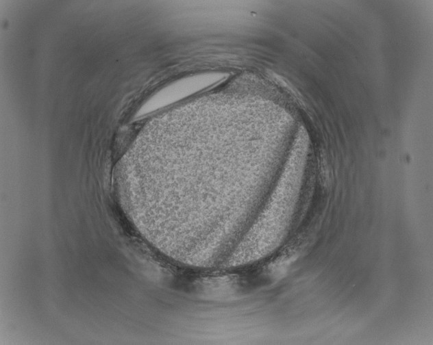 X0000070250307200606301632