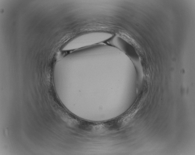 X0000070250309200606301632