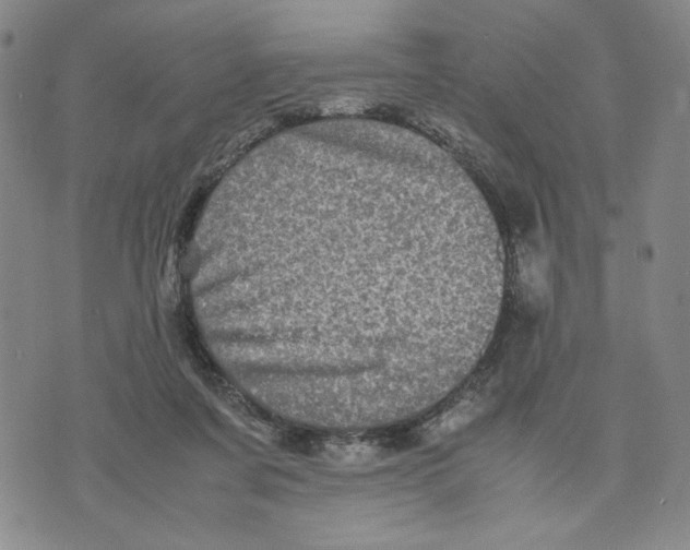 X0000070250311200606301632