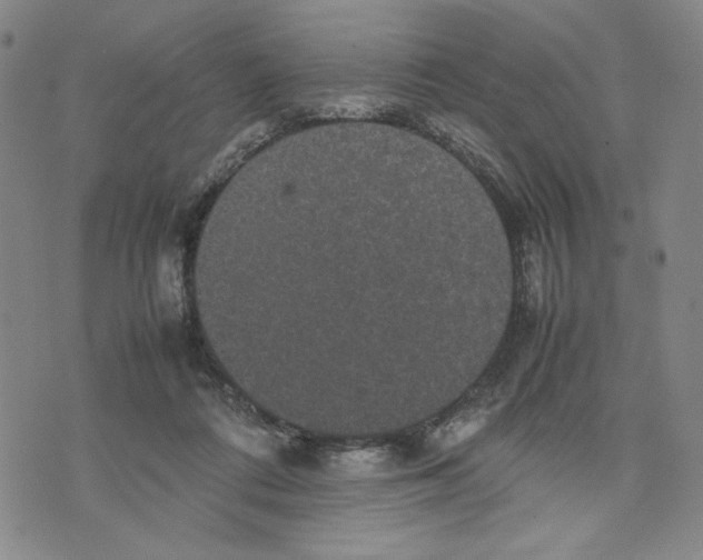 X0000070250312200606301632