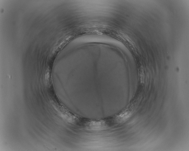 X0000070250314200606301632