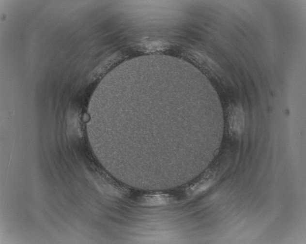 X0000070250316200606301632