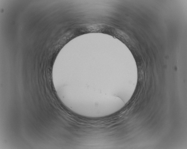 X0000070250317200606301632