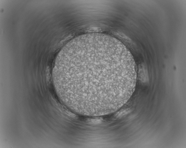 X0000070250318200606301632