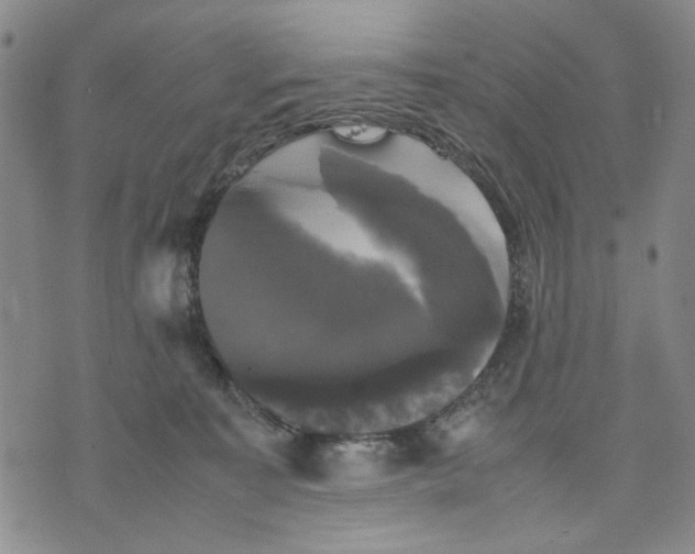 X0000070250323200606301632