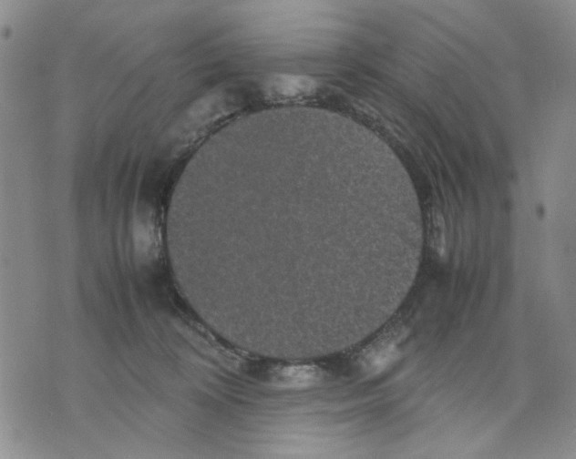 X0000070250324200606301632