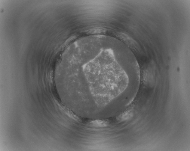 X0000070250326200606301632