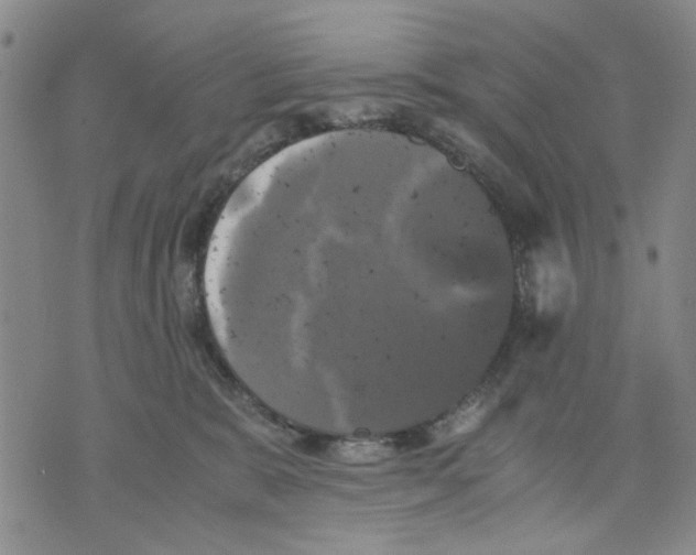 X0000070250327200606301632