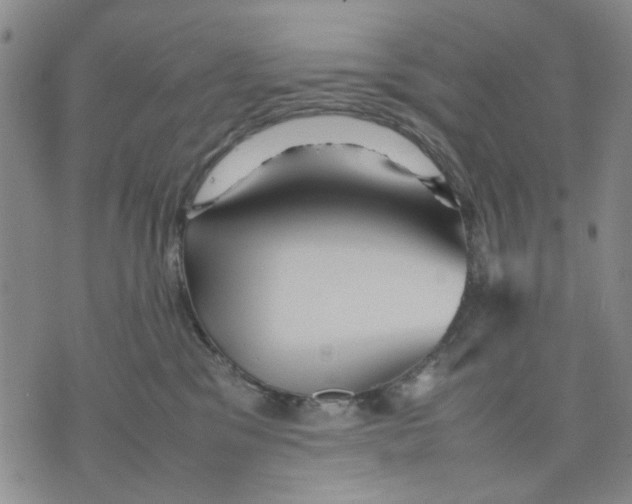 X0000070250329200606301632