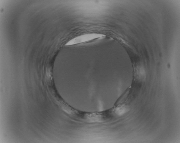 X0000070250331200606301632