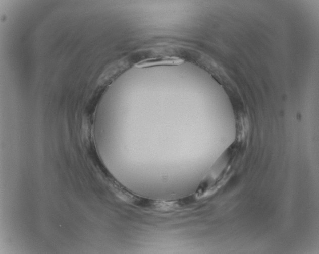 X0000070250333200606301632