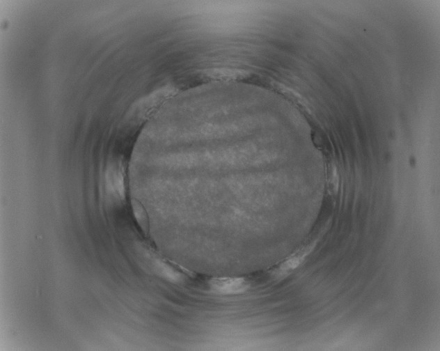 X0000070250334200606301632