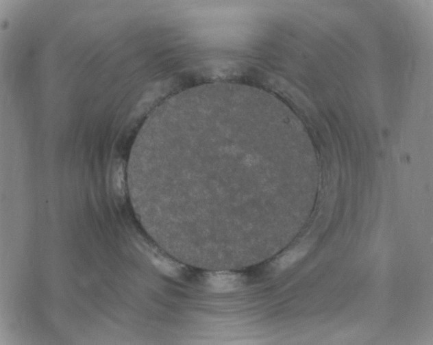 X0000070250336200606301632