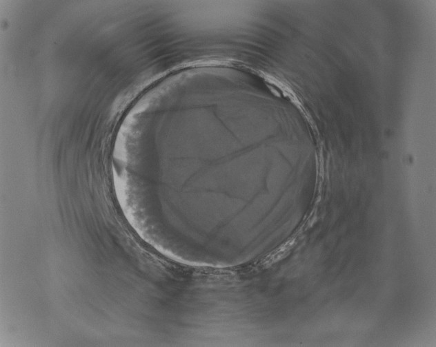 X0000070250337200606301631